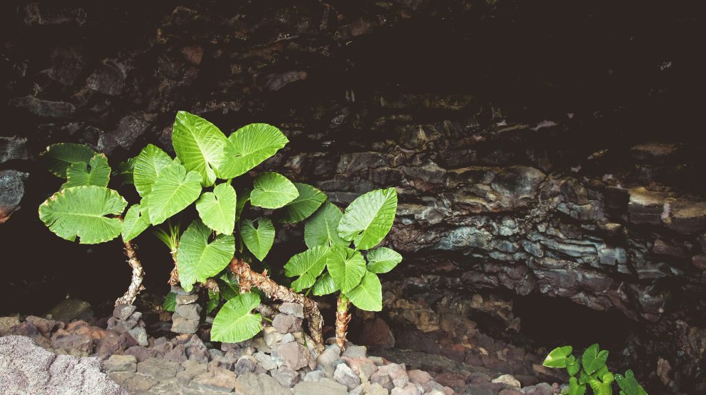 Mid-Funnel Content Strategy for Nurturing Leads and Driving Conversions