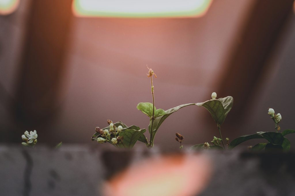 Mid-Funnel Content Strategy That Converts Leads into Customers