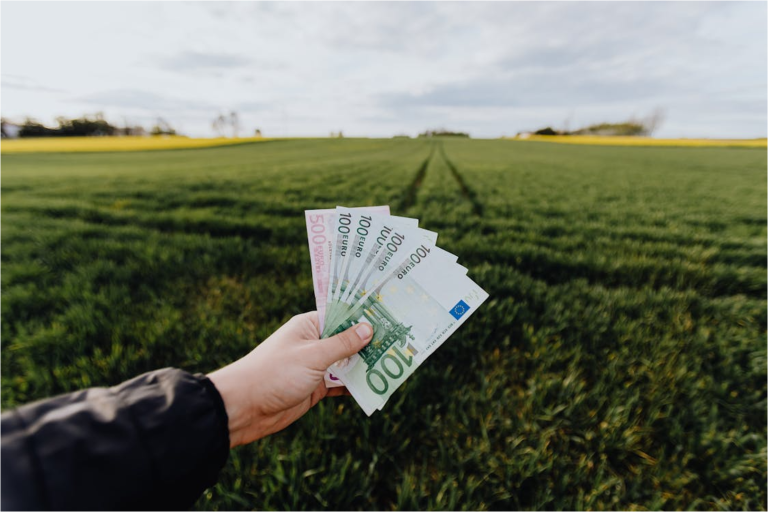 Big Brands Are Investing in Regenerative Agriculture